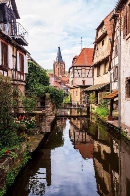 Appartements « La Parenthese » Wissembourg Bagian luar foto