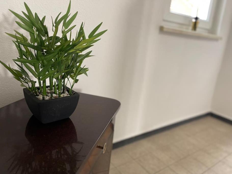 Appartements « La Parenthese » Wissembourg Bagian luar foto
