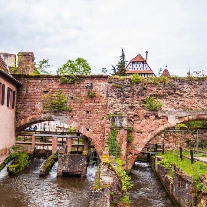 Appartements « La Parenthese » Wissembourg Bagian luar foto